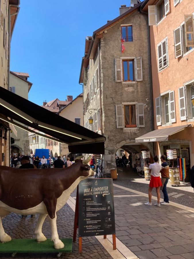 2 Pieces Cosy Leilighet Annecy Eksteriør bilde